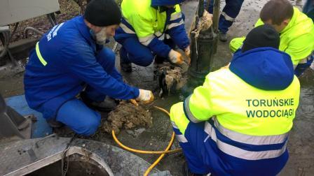 Zdjęcia przedstawiają pracowników Toruńskich Wodociągów, którzy ręcznie udrażniają zapchane pompy.